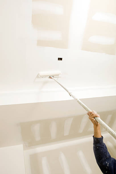  West Plains, MO Mold Removal Pros