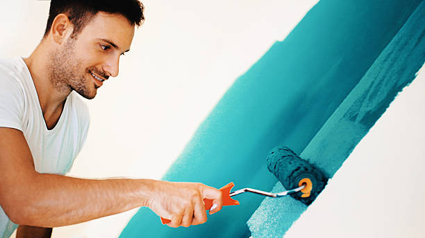 Best Basement Mold Removal  in West Plains, MO