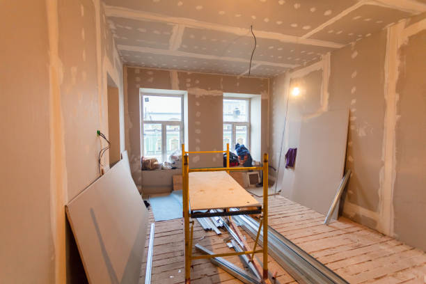 Best Mold Removal for HVAC Installations  in West Plains, MO