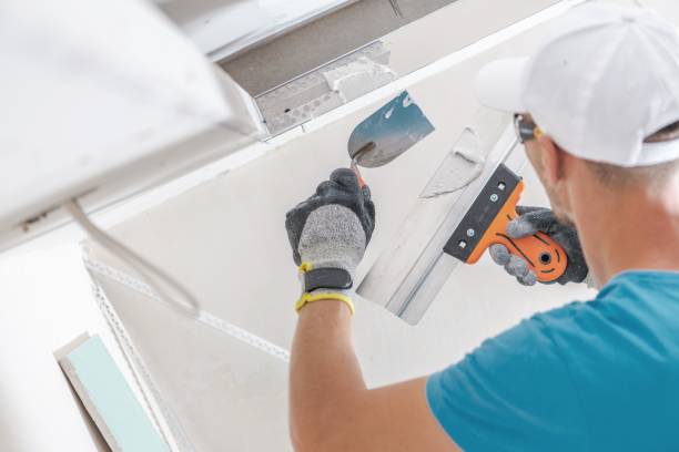 Best Black Mold Removal  in West Plains, MO